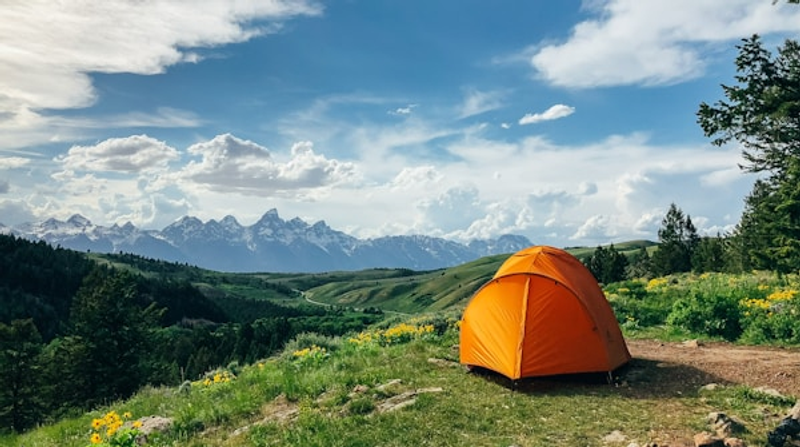 Campingplatz-Software: Buchbar aus Kontingent